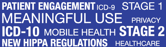 2013 Healthcare Hot Topics in Review