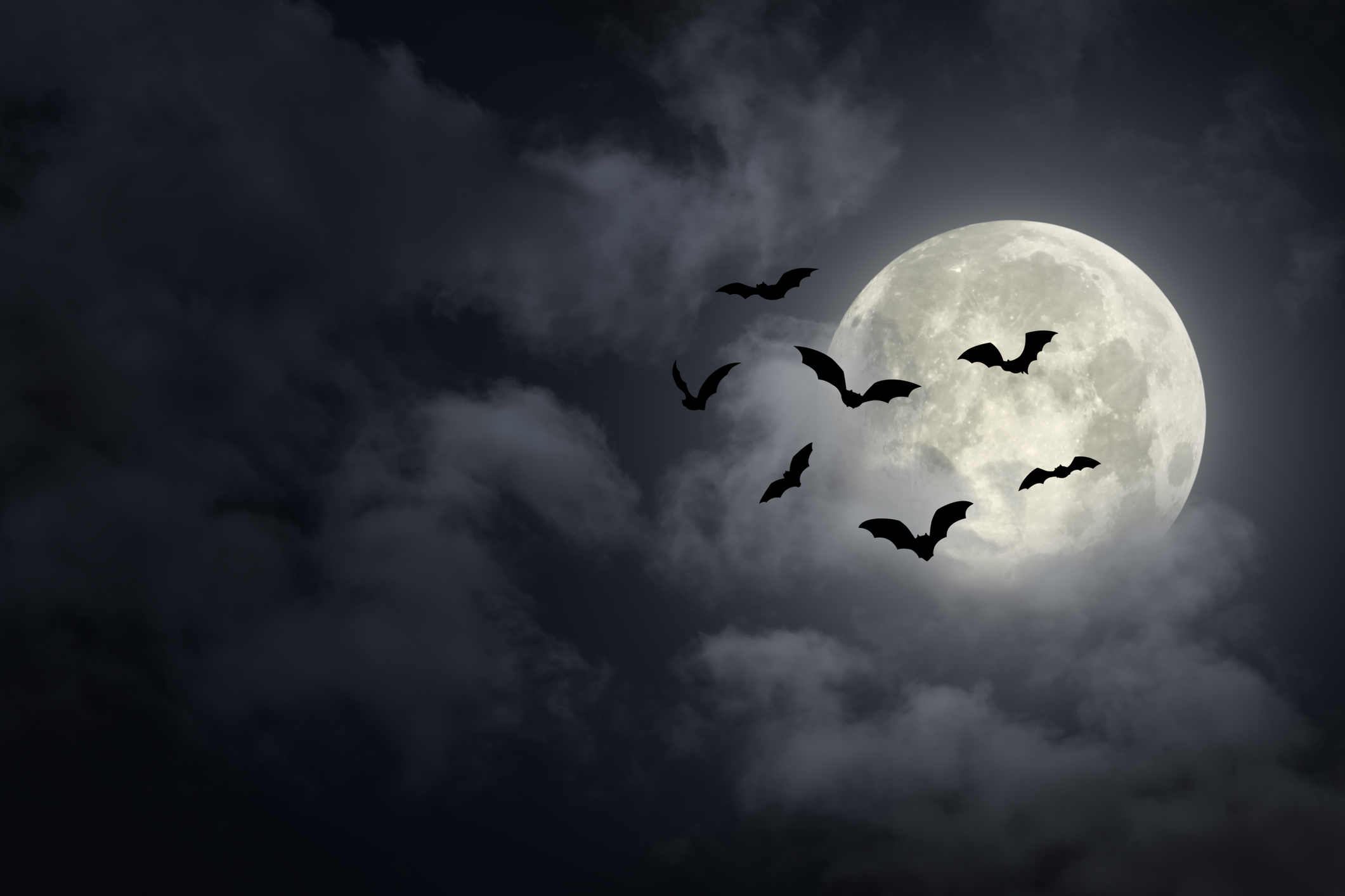 Let Cloud EHR Chase Away Your Nightmares This Halloween
